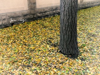 PB116100.jpg