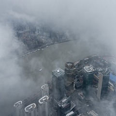 _IGP7977-01