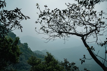 704C6367-D858-4D41-A2FD-0A89432C60DC/L0/001