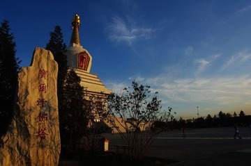 塔8