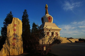 塔9