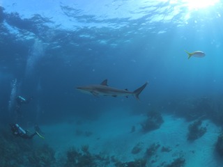 2016