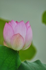4295993A-3093-4DB7-A7FB-4518CCB5F679/L0/001
