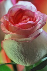 36F58583-9C40-4EFC-B90B-30F0B9F4EB0F/L0/001