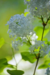 D38DB987-6E23-4032-8B25-0EC588A8FDB3/L0/001