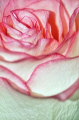 63F58073-35C5-4BF0-BA36-F14B006F6203/L0/001
