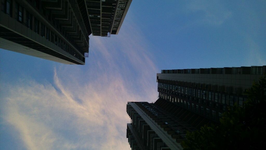 呼应