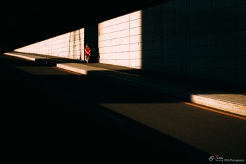 L1001499