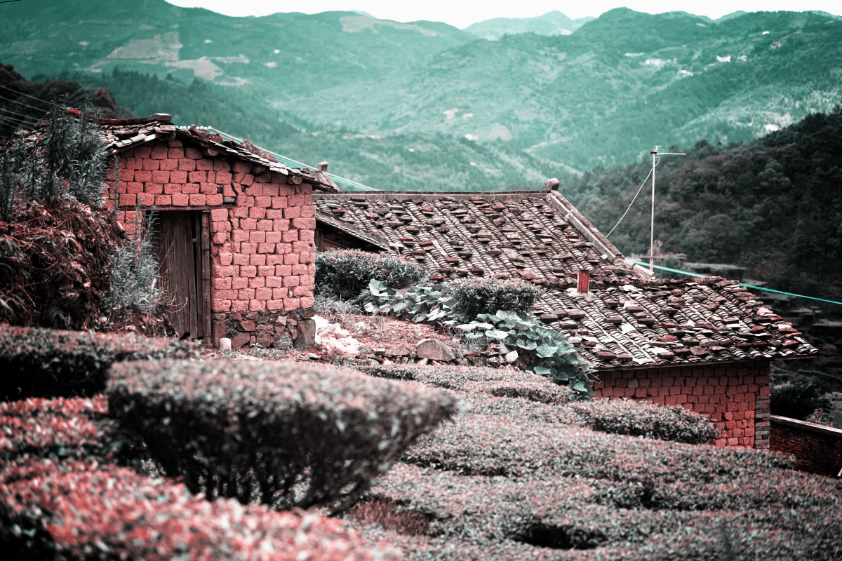 大山里茶园农村老房子