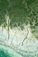 河流调色盘