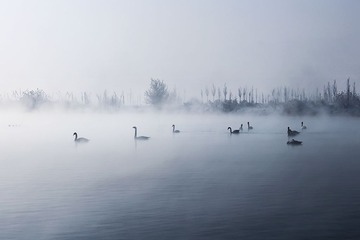 照片29~2
