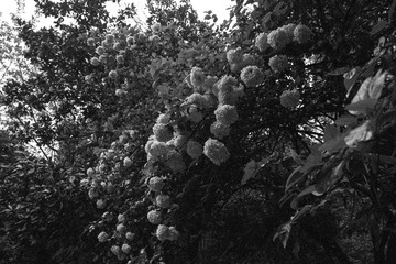 DSCF3944-2