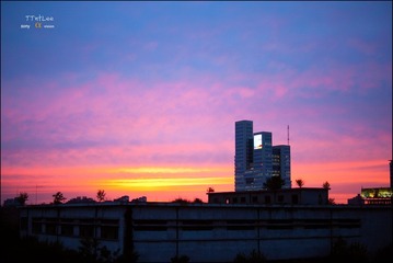 _DSC0810
