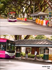 公交车来了