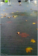 五彩路