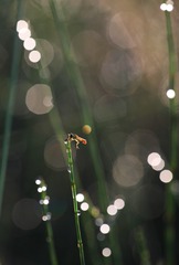 1CBB3768-0D2C-4C57-86FF-EC0F28F5251D/L0/001