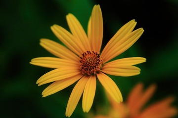 IMG_9232.JPG