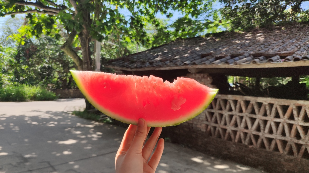 夏天的西瓜