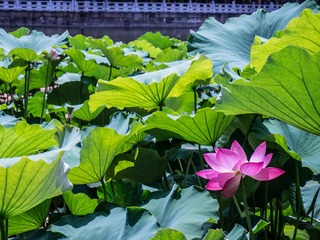 三大俗.jpg