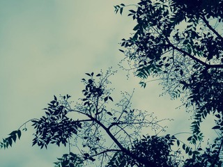 影.jpg