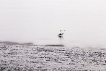 F2E9A459-B462-45F8-BEB7-CC1458CA6DD6/L0/001