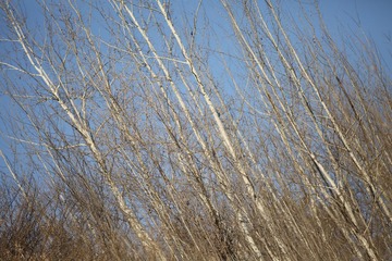 EV1A1459[1]