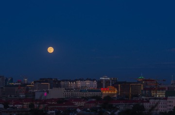 DSC_2504_resize