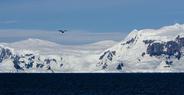 DSC_2486r