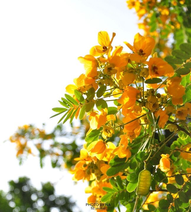 00DSC_0003<br />
