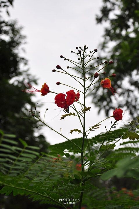 00DSC_0051<br />
