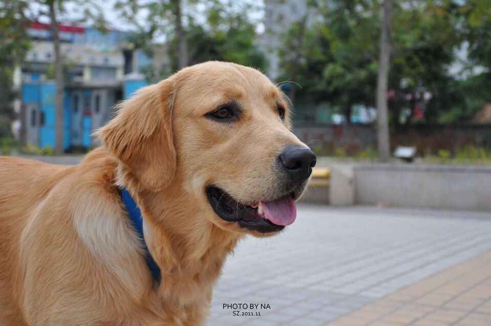 00DSC_0074<br />
