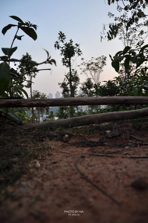 00DSC_0134<br />
