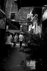 FILE0135.jpg