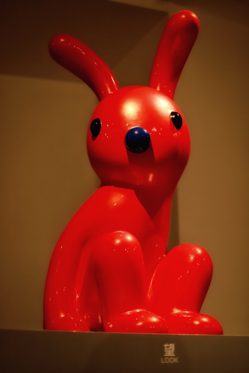 张占占的兔子展摄于厦门宝龙一城