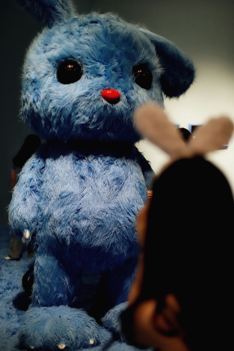 张占占的兔子展摄于厦门宝龙一城