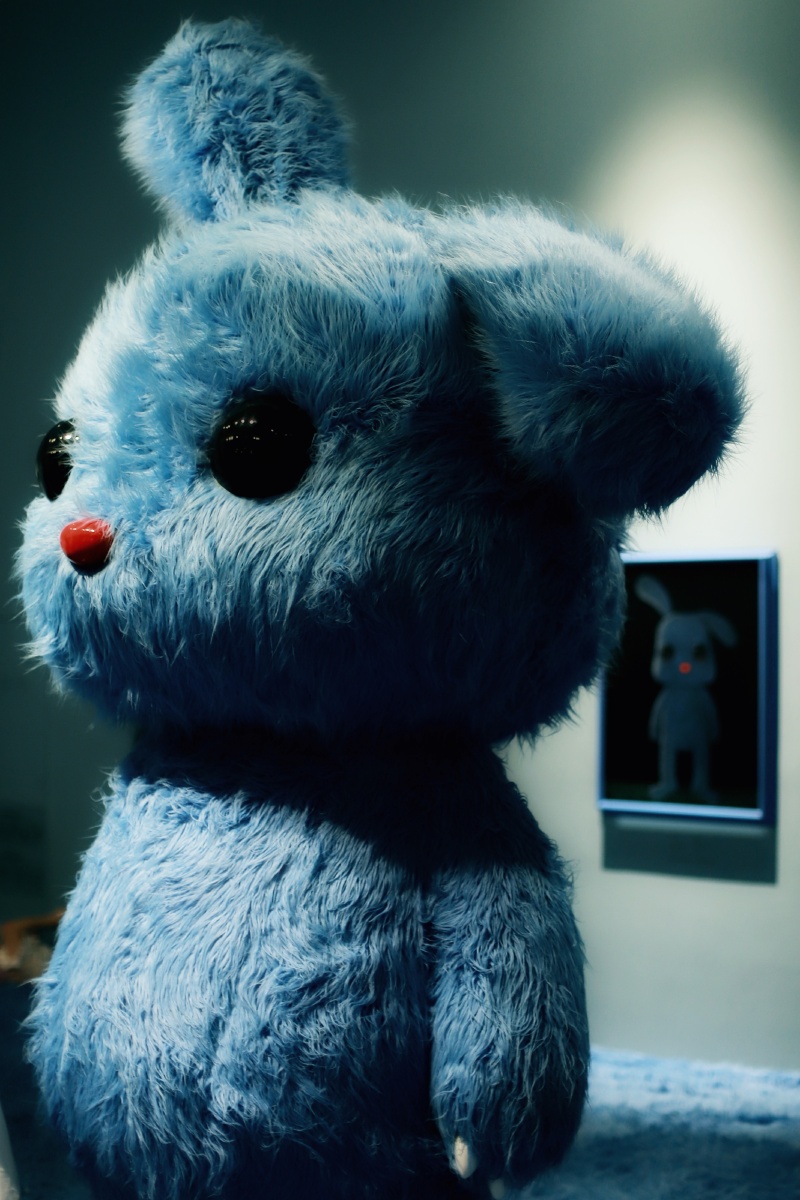 张占占的兔子展摄于厦门宝龙一城