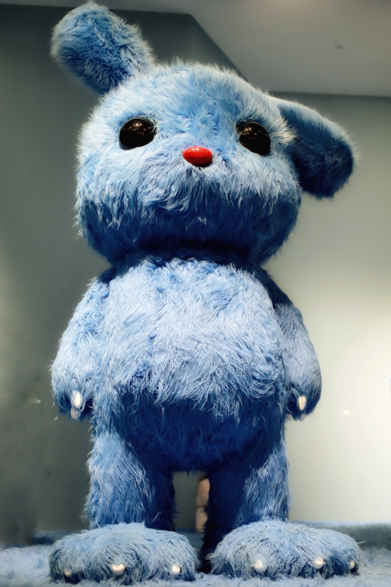 张占占的兔子展摄于厦门宝龙一城