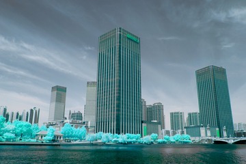 562807