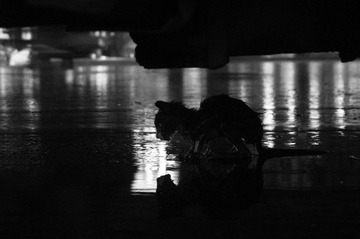 DSC05043-1