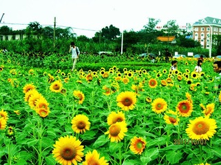 IMG_1991 (2)_副本.jpg