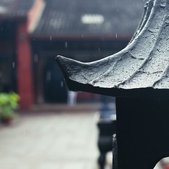 DSC_3835.jpg