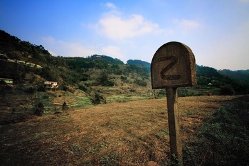 田园