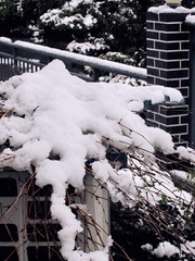 0C3FF440-CB56-49D8-A32F-DEC67A48EF69/L0/001