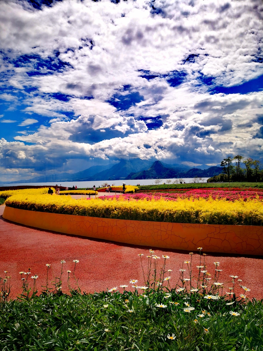 抚仙湖广龙湿地