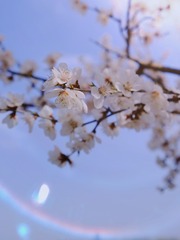 09A8CE20-0451-4238-B2D3-006C77C4782E/L0/001