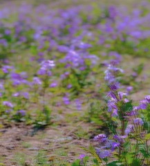 14C9531B-BD29-4A74-9624-4962B83784E1/L0/001