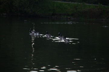 _MG_9770 e