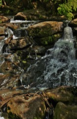 MG_0848 b (4e)
