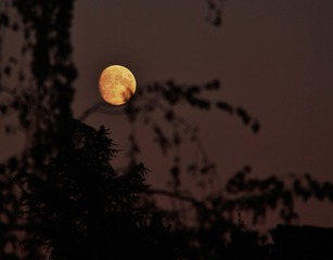 IMG_6448 b
