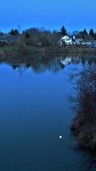 IMG_8222